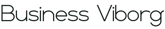 Business Viborg logo